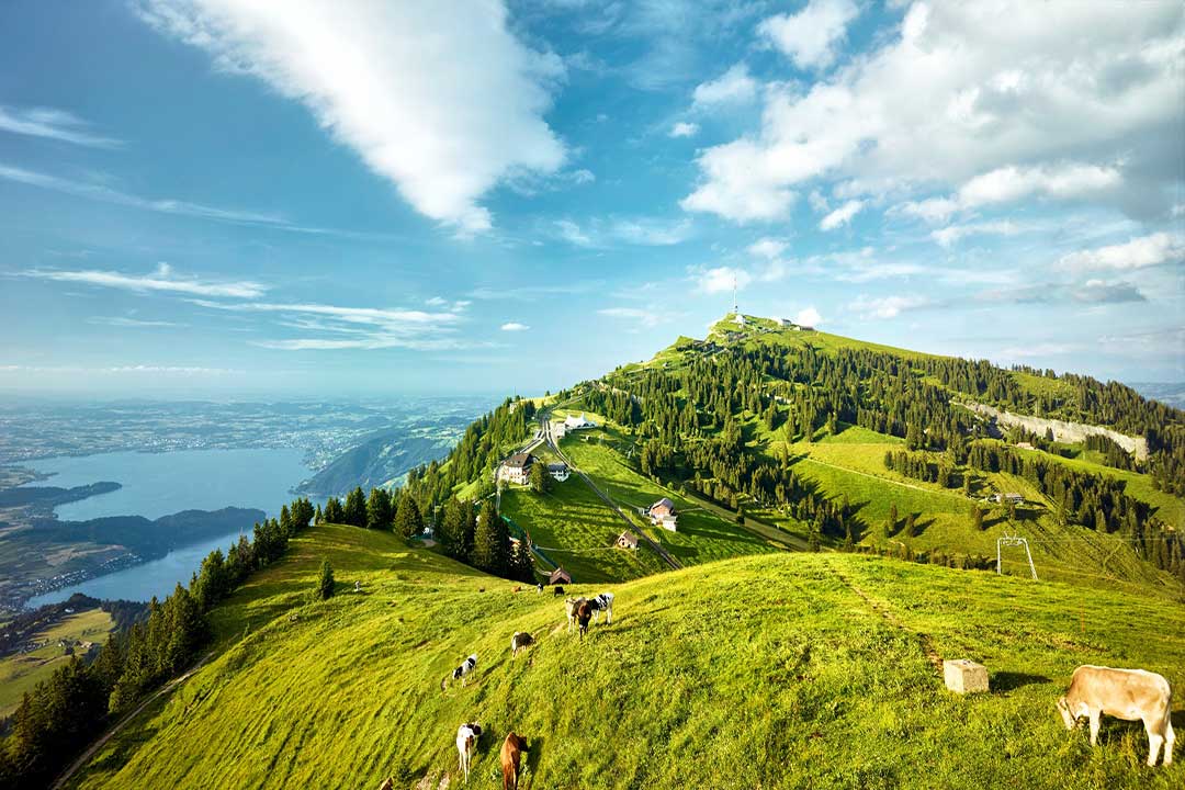 Panorama montano sul lago dei Quattro Cantoni dal Rigi